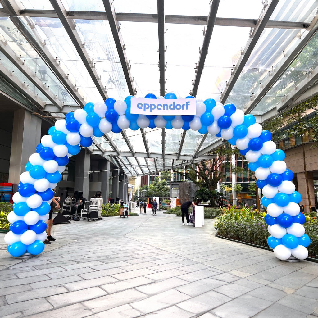 Round Balloon Arch Entrance Decoration | Stunning Party Entrance ...